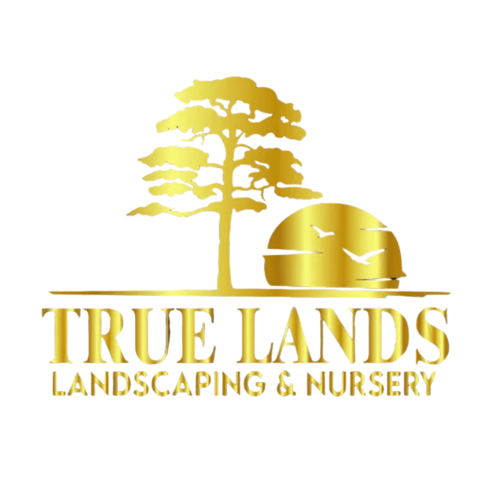 site logo